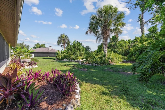 1315 Pine Needle Rd, Venice, FL 34285 - view of green lawn