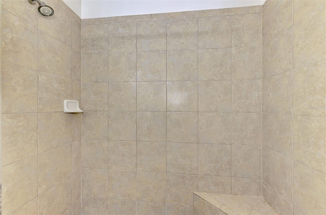 371 Capulet Dr, Venice, FL 34292 - full bath featuring a tile shower