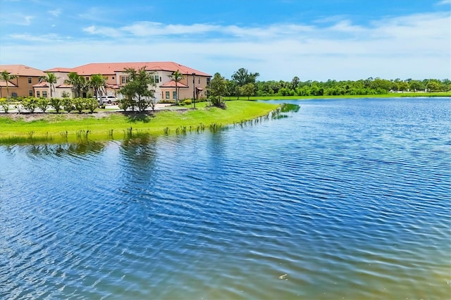 10061 Cozy Grove Dr, Venice, FL 34293 - photo 22