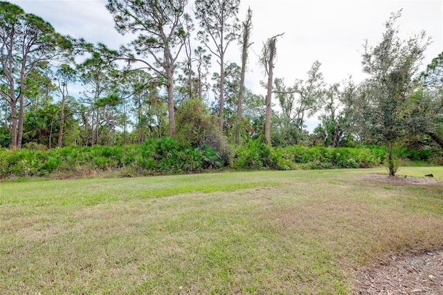 12187 Amica Loop, Venice, FL 34293 - view of green lawn