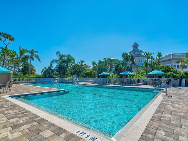 355 Swallow Cir, Venice, FL 34285 - community pool featuring a patio