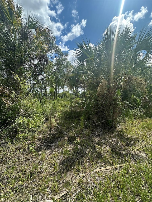 Rentscher Ave, North Port, FL 34291