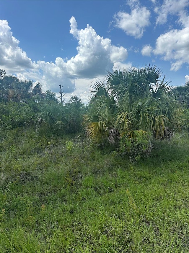 Fritz Ave, North Port, FL 34288