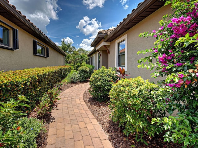 5832 Semolino St, Nokomis, FL 34275 - view of yard