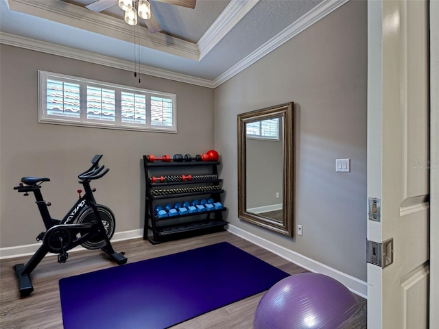 5832 Semolino St, Nokomis, FL 34275 - exercise room featuring wood finished floors, a tray ceiling, ceiling fan, and ornamental molding
