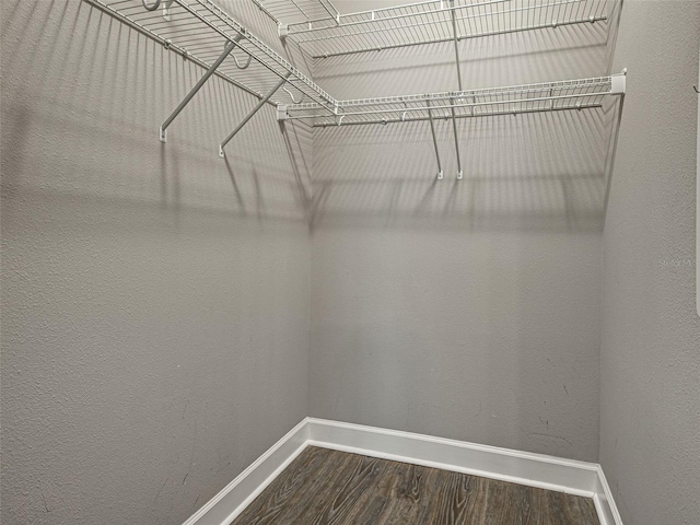 5832 Semolino St, Nokomis, FL 34275 - walk in closet with dark wood finished floors
