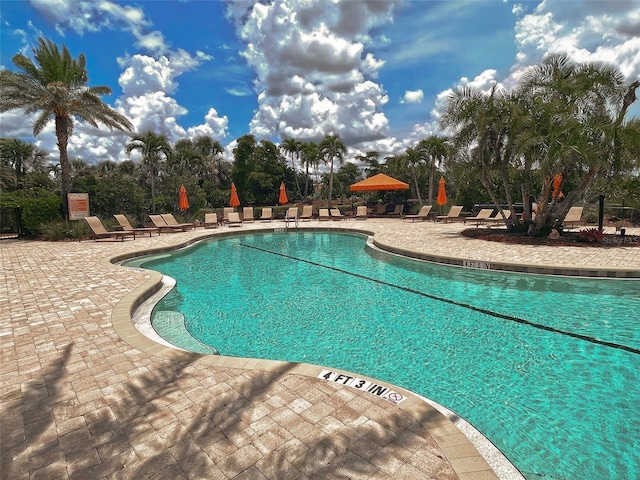 5832 Semolino St, Nokomis, FL 34275 - community pool featuring a patio area and view of wooded area