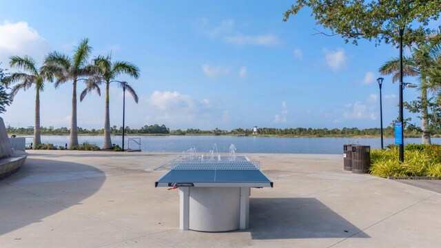 13871 Miranese St, Venice, FL 34293 - photo 48