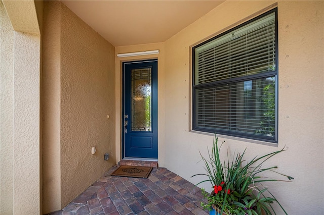 19269 Serafina St, Venice, FL 34293 - property entrance featuring stucco siding