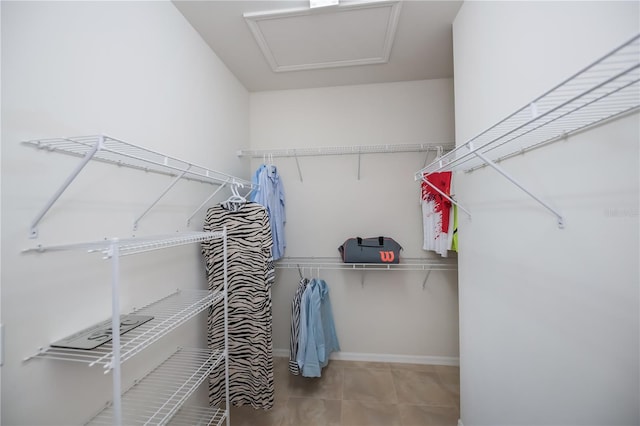 19269 Serafina St, Venice, FL 34293 - walk in closet with attic access and tile patterned flooring
