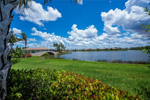 19269 Serafina St, Venice, FL 34293 - water view
