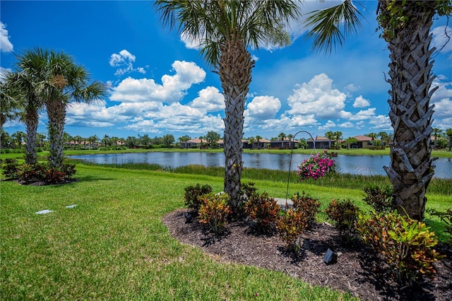 19269 Serafina St, Venice, FL 34293 - water view