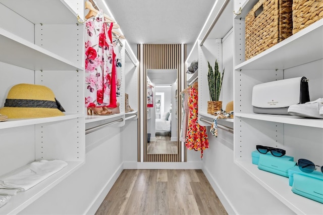 437 Cerromar Ln Unit 424, Venice, FL 34293 - walk in closet with light wood-style floors