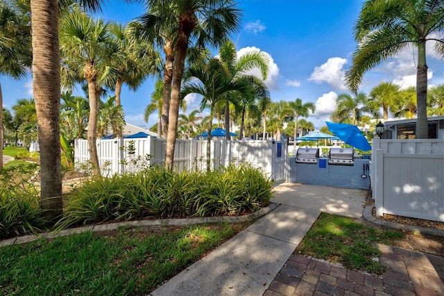 437 Cerromar Ln Unit 424, Venice, FL 34293 - view of yard with exterior kitchen