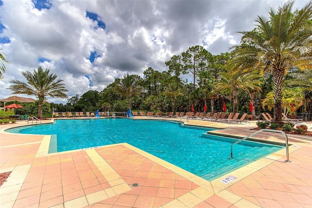 206 Bella Vista Ter Unit 29D, North Venice, FL 34275 - photo 54
