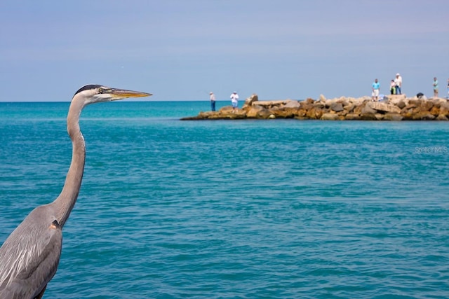 950 Tarpon Center Dr Unit 305, Venice, FL 34285 - water view