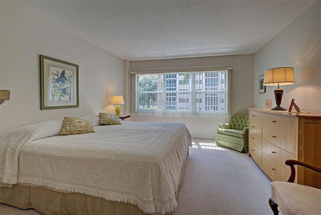 244 Saint Augustine Ave Unit 202, Venice, FL 34285 - bedroom featuring light carpet and a textured ceiling