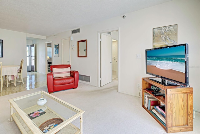244 Saint Augustine Ave Unit 202, Venice, FL 34285 - carpeted living area with a textured ceiling and baseboards