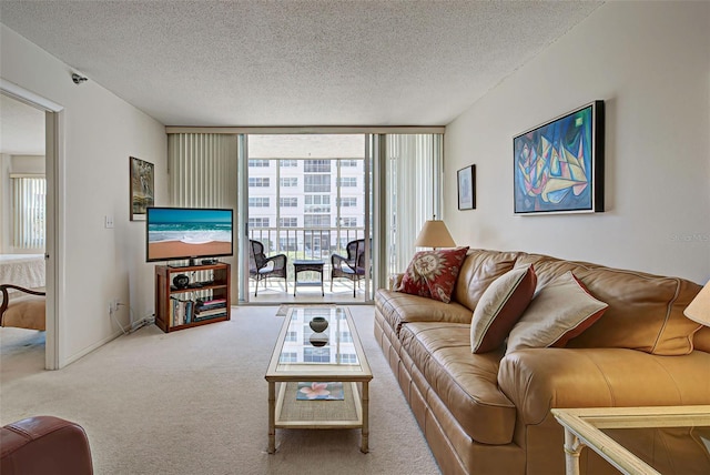 244 Saint Augustine Ave Unit 202, Venice, FL 34285 - carpeted living room with expansive windows and a textured ceiling