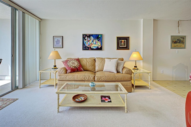 244 Saint Augustine Ave Unit 202, Venice, FL 34285 - carpeted living area featuring a textured ceiling and a wall of windows
