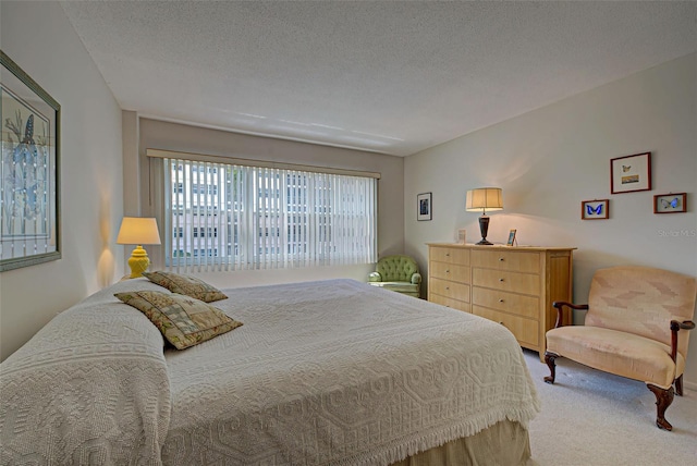 244 Saint Augustine Ave Unit 202, Venice, FL 34285 - bedroom with carpet and a textured ceiling