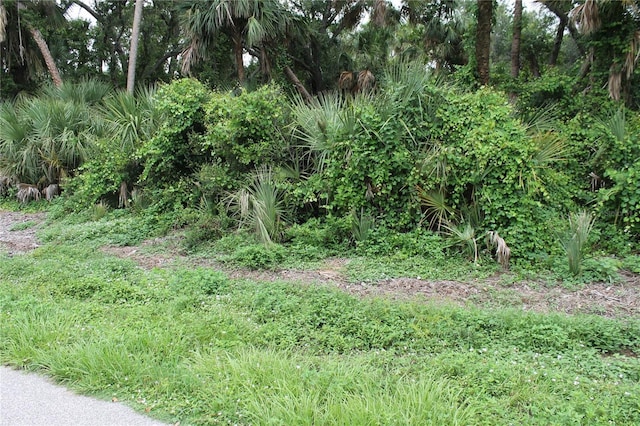 18106 Sinatra Ave, Port Charlotte, FL 33954 - photo 2