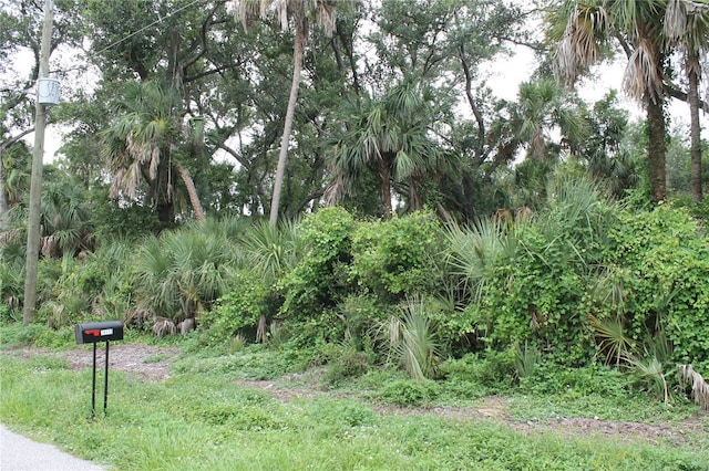 18106 Sinatra Ave, Port Charlotte, FL 33954 - photo 3