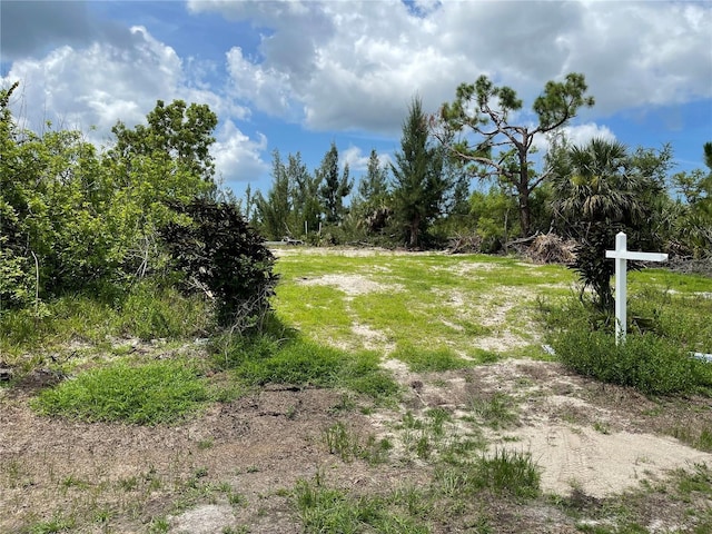 15181 Lyneburg Ave, Port Charlotte, FL 33981 - photo 2