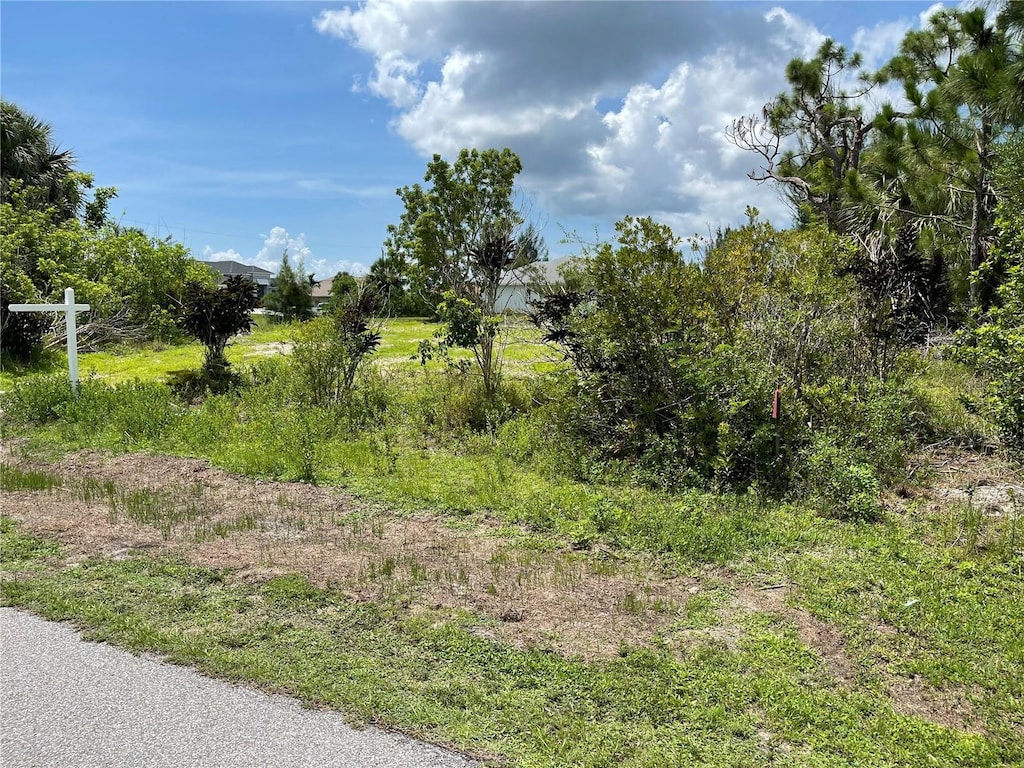 15181 Lyneburg Ave, Port Charlotte, FL 33981 - photo 1