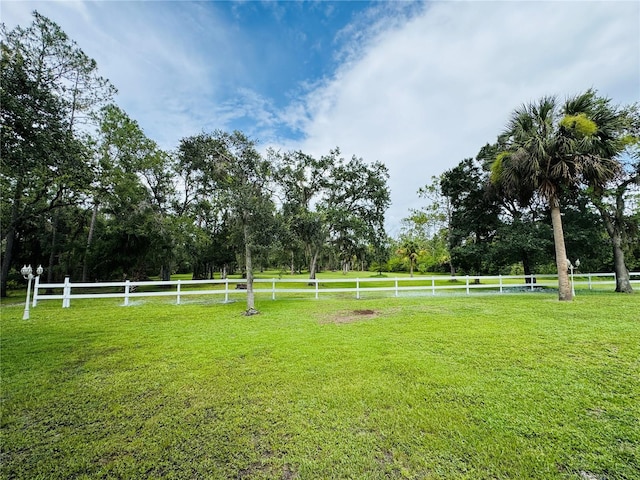 6522 Pimlico St, North Port, FL 34291 - view of yard featuring view of scattered trees