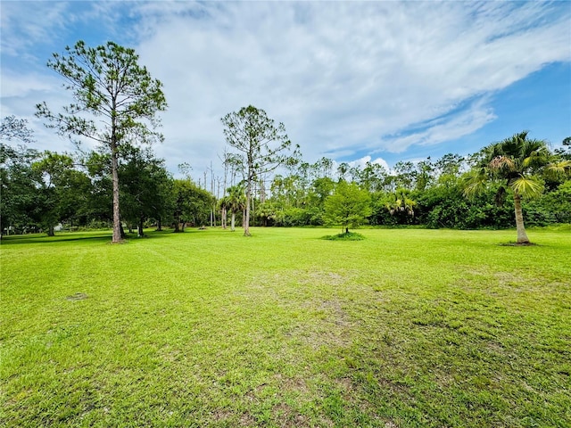 6522 Pimlico St, North Port, FL 34291 - view of green lawn with view of scattered trees