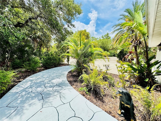 6522 Pimlico St, North Port, FL 34291 - view of property's community featuring a patio area