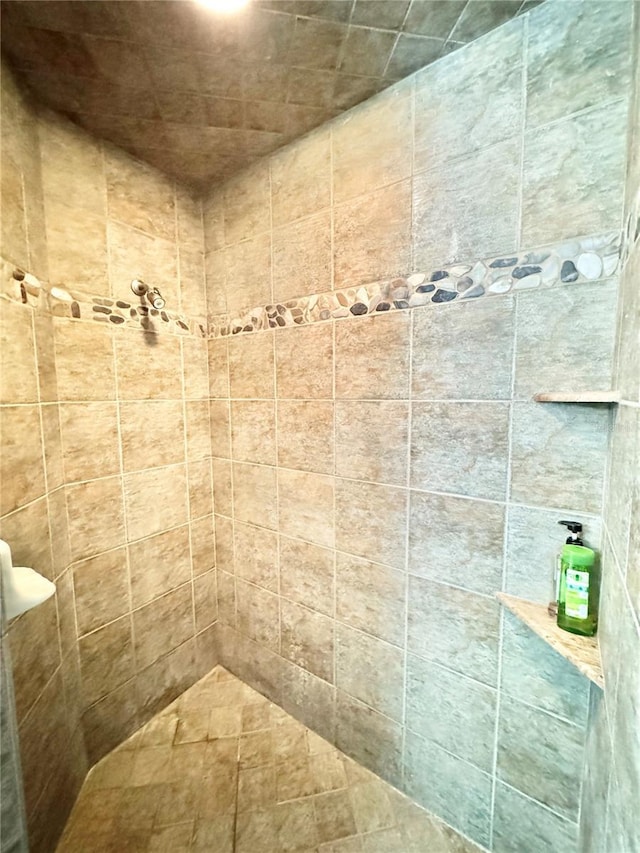 6522 Pimlico St, North Port, FL 34291 - bathroom with a tile shower