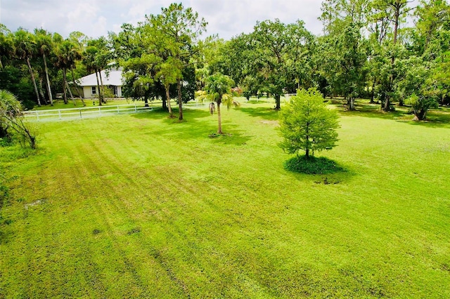 6522 Pimlico St, North Port, FL 34291 - view of yard featuring view of wooded area