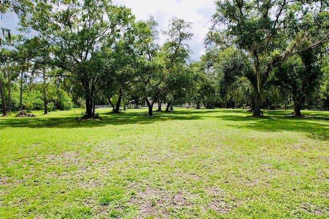 6522 Pimlico St, North Port, FL 34291 - view of grassy yard