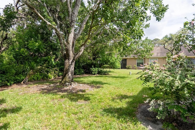 1554 Tallywood Dr Unit 7127, Sarasota, FL 34237 - photo 28