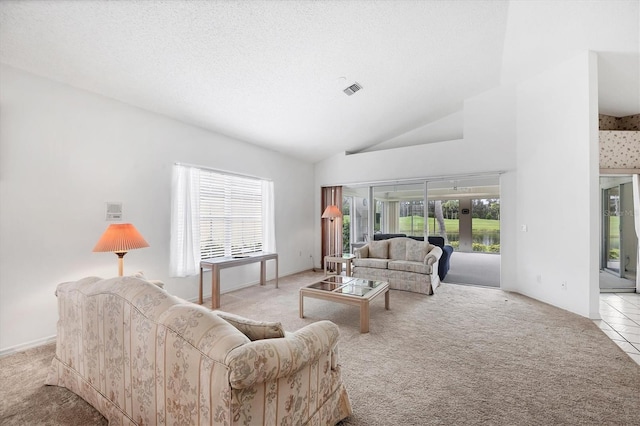 1429 Turnberry Dr, Venice, FL 34292 - living room featuring light colored carpet and high vaulted ceiling