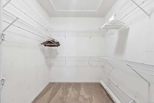 1429 Turnberry Dr, Venice, FL 34292 - walk in closet featuring carpet flooring