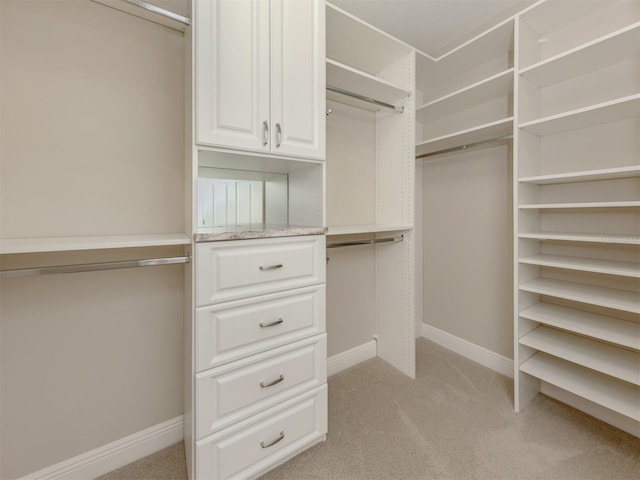 141 Bella Vista Ter Unit 34B, North Venice, FL 34275 - walk in closet with light carpet