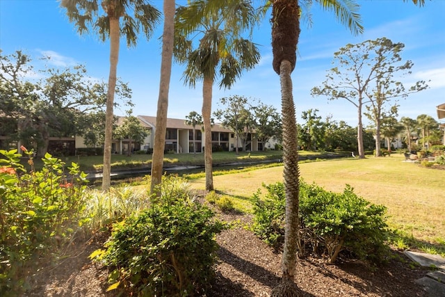752 White Pine Tree Rd Unit 108, Venice, FL 34285 - view of green lawn
