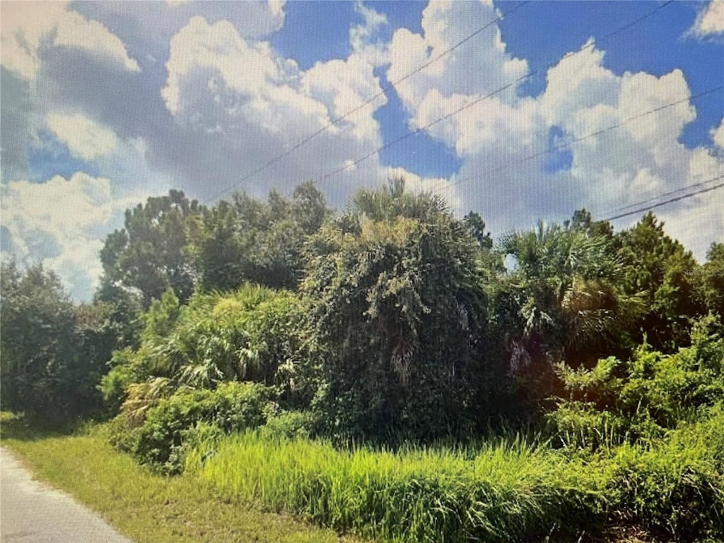 LOT33 Horace Ave, North Port, FL 34286 - photo 2