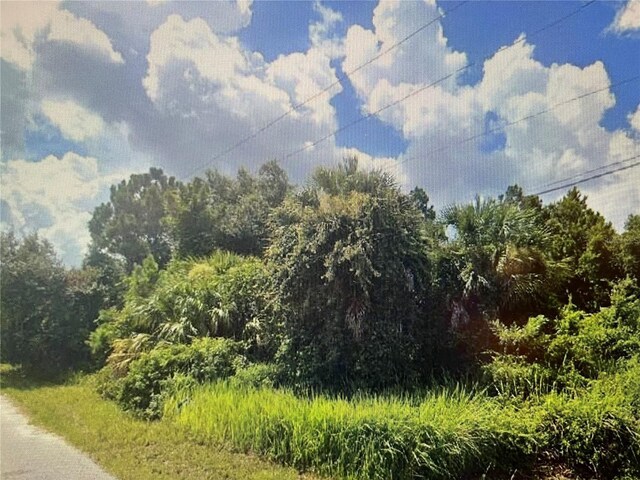 LOT33 Horace Ave, North Port, FL 34286 - photo 2