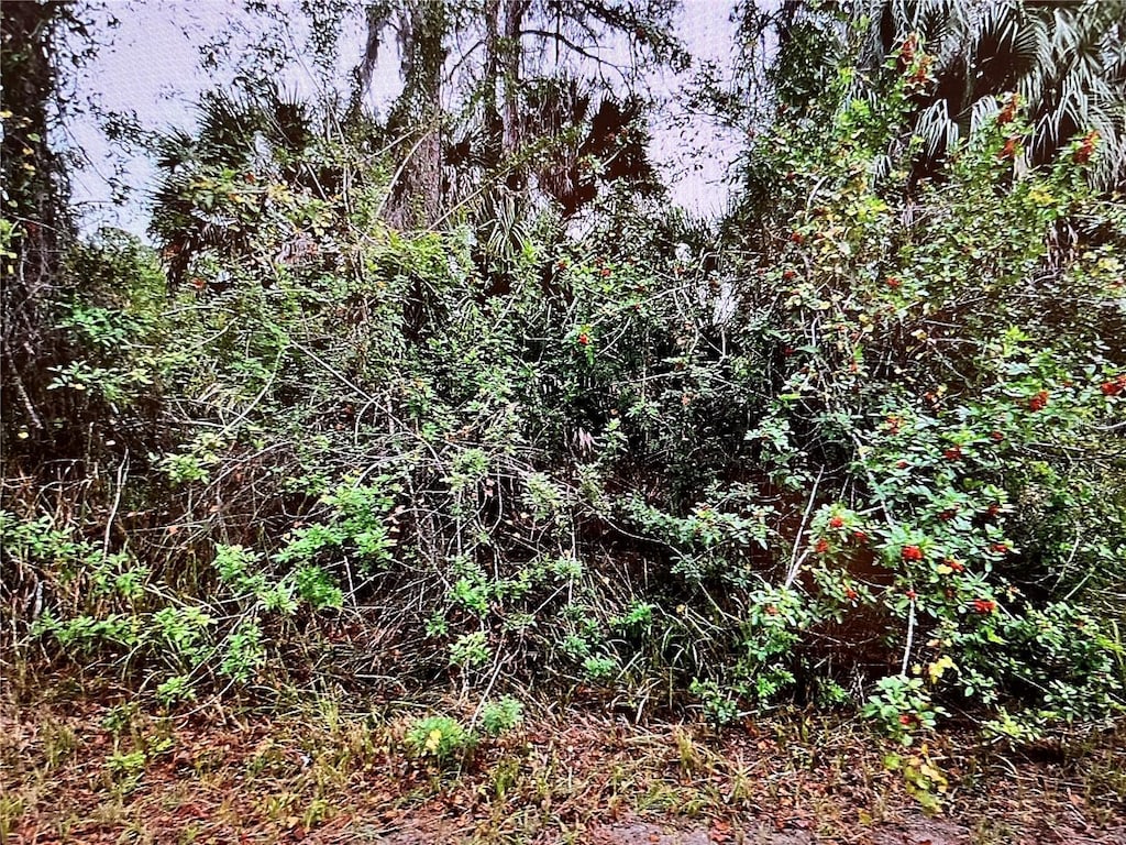 LOT24 Campbell St, North Port, FL 34288