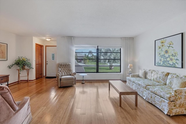 12001 Daroco Ln, North Port, FL 34287 - living area with light wood-style flooring and baseboards