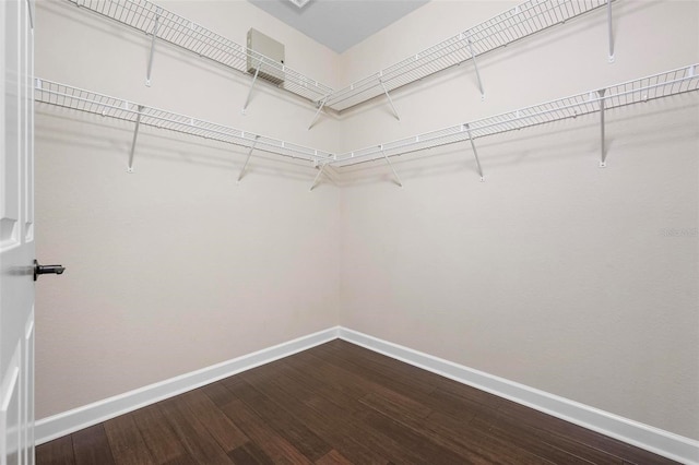 114 Bella Vista Ter Unit 6C, Nokomis, FL 34275 - walk in closet with dark wood-style flooring