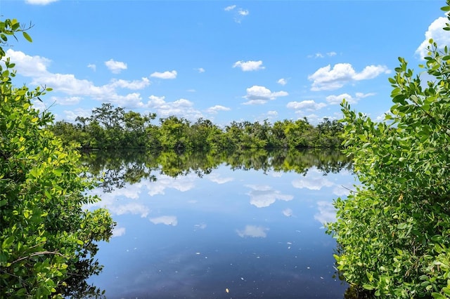 812 Garland Ave, Nokomis, FL 34275 - water view