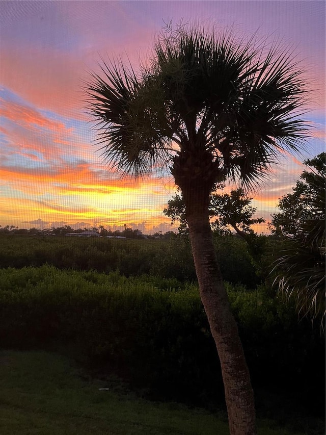 1088 Bird Bay Way Unit 307, Venice, FL 34285 - view of nature