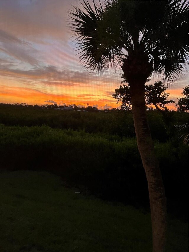 1088 Bird Bay Way Unit 307, Venice, FL 34285 - view of yard