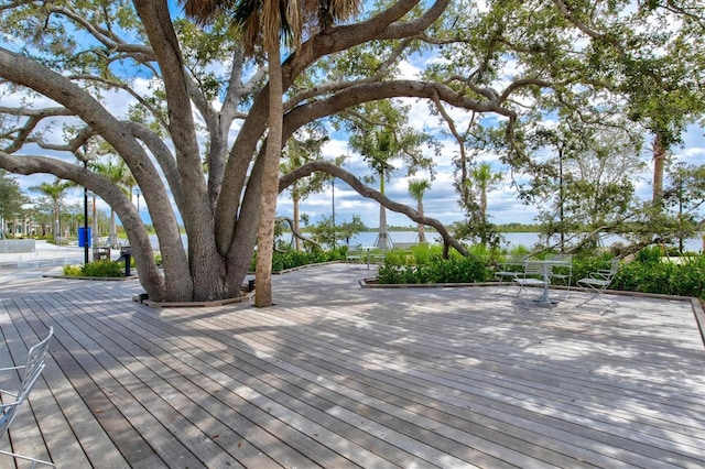 12559 Sagewood Dr, Venice, FL 34293 - photo 82