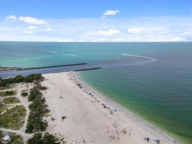 912 Hampton Rd, Nokomis, FL 34275 - photo 60